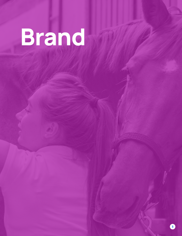 Ride iQ Brand Guide