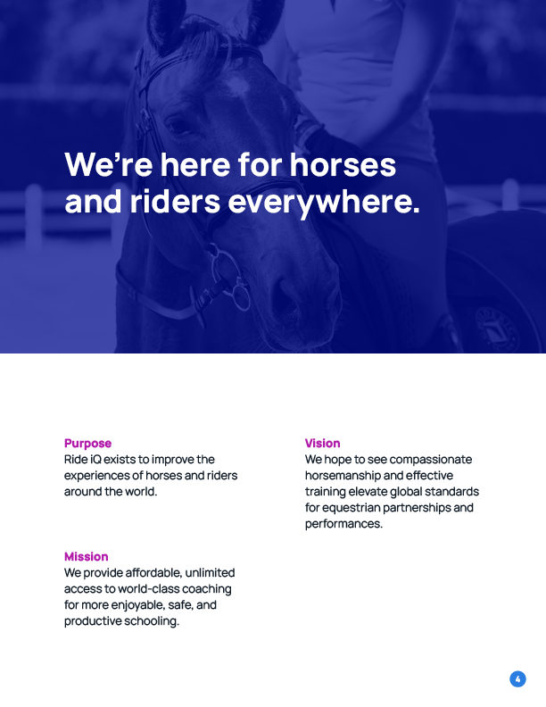 Ride iQ Brand Guide