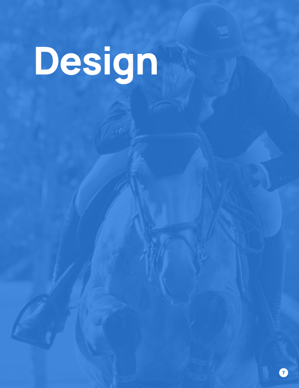 Ride iQ Brand Guide